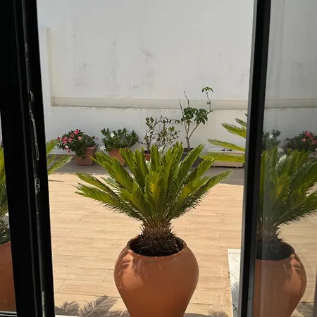 Kauai * باريد